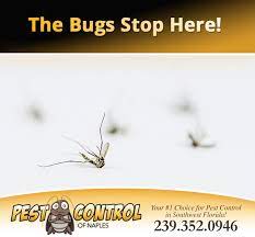 We utilize a 5 step pest control process that eliminates ants, roaches and rodents and keeps them away. Bug Pest Control In Naples Fl