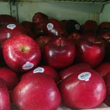 913 127 apple tetesan air buah. Jual Buah Apel Merah Red Washington Di Lapak Arisshop90 Bukalapak