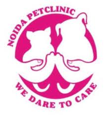 73 doctors available in sector 78. We Are Very Happy To Share This That We Cele Noida Pet Clinic Superspecialitypetclini