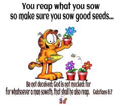 We did not find results for: Christian Quotes About Reaping What You Sow Quotesgram