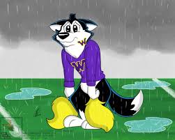 Sad Husky by LightLuxCollie -- Fur Affinity [dot] net