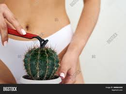 This is also known as the medial compartment of the thigh that consists of the adductor muscles of the hip. Girl Shaves Large Image Photo Free Trial Bigstock