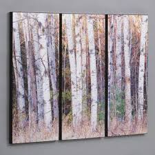 3 Piece Birch Tree Wall Art Birch Trees In The Fall 3 Piece Photographic Print Set In 2020 Birch Tree Art Tree Art Wall Art Sets