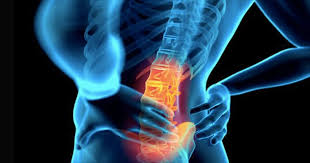 Hip joint is ball and socket joint that connects axial skeleton with lower limb. 10 Stretches To Prevent Hip And Lower Back Pain