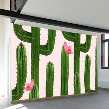 No hay productos en el carrito. ØªØ£Ø¬ÙŠÙ„ Ø£Ø®Ø¨Ø±Ù†Ù‰ Ø·ÙØ­ Ø§Ù„ÙƒÙŠÙ„ Cactus Pared Psidiagnosticins Com