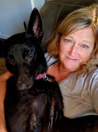 Dutch Shepherd breed characteristics and owner experiences