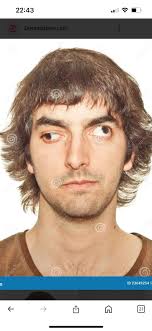 Substitute Christmas Tree Humor