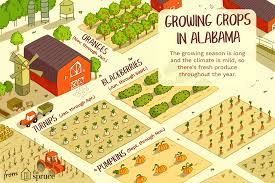 Alabama Seasonal Fruits And Vegetables Guide