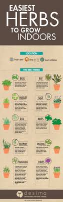 Seedlings prefer at least 6 hours of sunlight, the more the better. 7 Infographics That Ll Teach You Everything About Growing An Indoor Herb Garden Balcony Garden Web