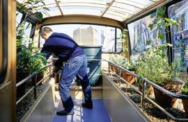 Bildergebnis für Nils Norman