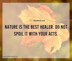 It is our duty to save environment's beauty. 29 Best World Environment Day 2021 Quotes Wishes Messages Greetings Theme Images Pictures Wallpaper