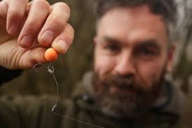 Carp Q&A with Sticky