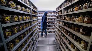Seeds of recalcitrant species are not stored seed banks. The Seed Bank That S Inadvertently Storing Fungi Bbc Future