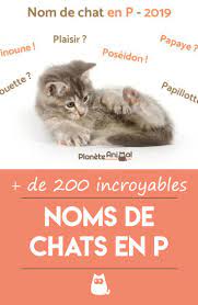 Découvrez une liste complète de prénoms des usa. Nom De Chat En P Pour 2019 Plus De 200 Idees De Noms Noms De Chat Prenom Chat Femelle Chat Femelle