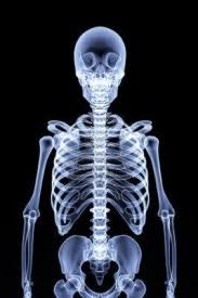 Human Skeleton Under The X Rays 3d Render Human Skeleton X Ray Xray Art