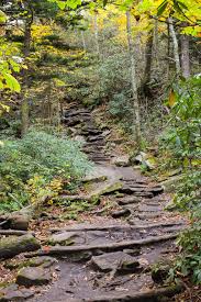 Eagle fork overlook blue ridge parkway milepost 418.0. Rough Ridge Trail
