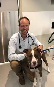 Maybe you would like to learn more about one of these? Home Oakvet Animal Specialty Hospital