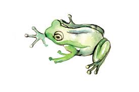 It should be everything you need for your next project. Watercolor Frog Svg Cut File By Creative Fabrica Crafts Creative Fabrica