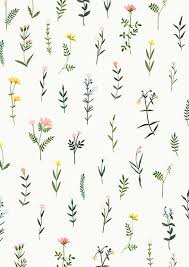 Wildflower Clipart Watercolor Floral Botanical Hand Drawn Png Flowers Clip Art Illustrations Plant Flower Sprig Wedding Floral Elegant Flower Drawing Flower Illustration Flower Backgrounds