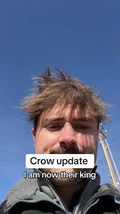 Crow Live Stream