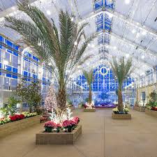 Our brand-new conservatory is a wonderful place to learn about a variety of  plants that are mentioned in the Bible—and warm up during ChristmasTown at  the Creation Museum! · Creation Museum ·