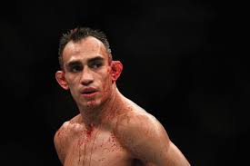 Share a gif and browse these related gif searches. Free Download Dana White Says Tony Ferguson Declined Interim Title Fight With 1200x800 For Your Desktop Mobile Tablet Explore 20 Ufc 236 Wallpapers Ufc 236 Wallpapers Ufc Wallpaper Ufc Wallpapers