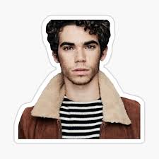 Boyce Merch & Gifts for Sale