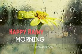 My dark elf looking magnificent dripped in dew this morning. Beautiful Rainy Good Morning Images Photos 2021 Whatsapp Dp Status Picfaster