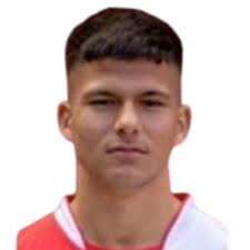 Profile Robin Polansky, Písek: Info, news, matches and statistics