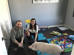 It totally could be tonight, i. 514 Undiscovered New Videotron Series Provides A Behind The Scenes Look Into Our Diverse Communities Cohen Confidential With Mike Cohen Thesuburban Com