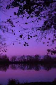 Фото фиолетового цвета