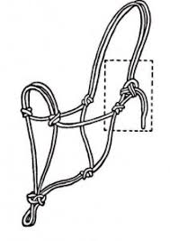 A pony how to make a simple rope halter rope halter making rope halter tutorial rope halter diy horse. Rope Halter