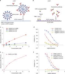 Für die persönliche anwendung zu hause ist der test nicht geeignet. A Sars Cov 2 Surrogate Virus Neutralization Test Based On Antibody Mediated Blockage Of Ace2 Spike Protein Protein Interaction Nature Biotechnology