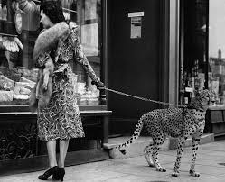 Black And White Cheetah Photography Josephine Baker Pet Cheetah 1930s Weird Vintage Global Gallery Vintage Photographs