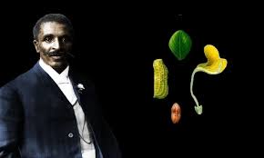George Washington Carver - Biography, Facts And Pictures