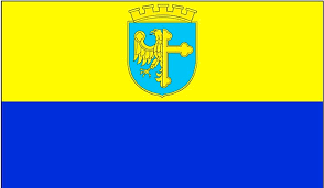 On four of them the stripes are vertical, and on the other three they're horizontal. Flags With Blue And Yellow Worldatlas