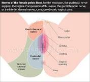 Treatments for Groin Pain in Women -