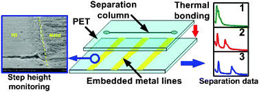 They act as amperometer or coulometer in hplc 11. Development Of Inlaid Electrodes For Whole Column Electrochemical Detection In Hplc Lab On A Chip Rsc Publishing