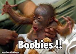 Pin On Things That Make Me Laugh