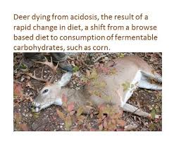 56 Credible Deer Feeding Chart South Carolina