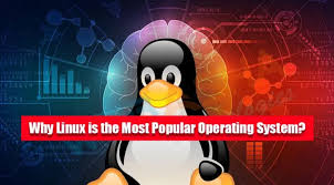 Image result for Computers Software Operating Systems Linux User Groups North America