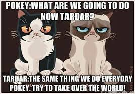 These Cats Ate Pinky And The Brain Grumpy Cat Cartoon Grumpy Cat Crazy Cats