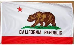 Most likely, this flag saw little use in california before it was replaced in. Flagge Kalifornien 7 6 X 12 7 Cm Amazon De Garten