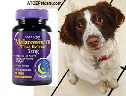 We did not find results for: Can I Give My Dog Melatonin