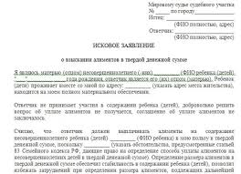 Obrazec Zayavleniya O Vzyskanii Alimentov V Tverdoj Summe Nalogi I Pravo