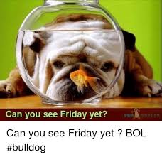 This is the translation of the word camel to over 100 other languages. 25 Best Memes About Can You See Friday Yet Can You See Friday Yet Memes