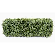 Boxwood Artificial Hedge New Structure Metal Fiskars oyj pruning shears grass shears hedge trimmer garden, scissors, technic, scissors, garden png. boxwood artificial hedge new structure
