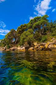 Near Store Beach Sydney Harbour National Park Near Manly Sydney New South Wales Australia Sydney Beaches Australia Vacation New South Wales