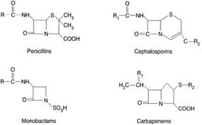 Beta Lactam Antibiotics And Cross Reactivity