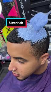The Silver Platinum 🧊 💨 #silverhair #hairstyle #hair #hairtok #fyp  #foryoupage #platinumhair #tampa #menshair #shorthair #hairtransformation  #hairtutorial #barber #hairstylist #haircolor #platinum ...